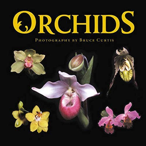 Orchids hardback book - hardback,