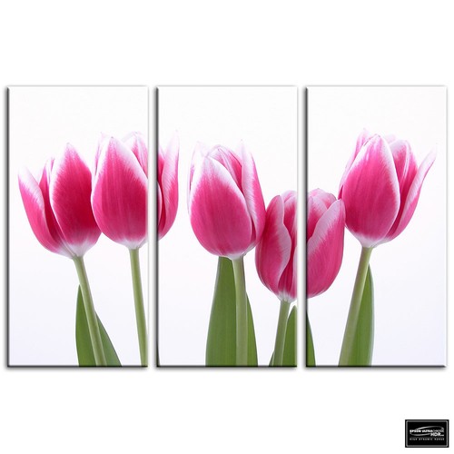 Tulips flowers floral box - flowers,