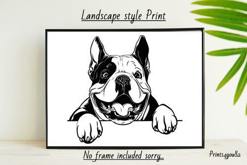 American bully dog - american,