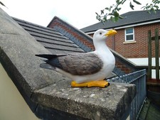 Life Size Seagull  Figurine