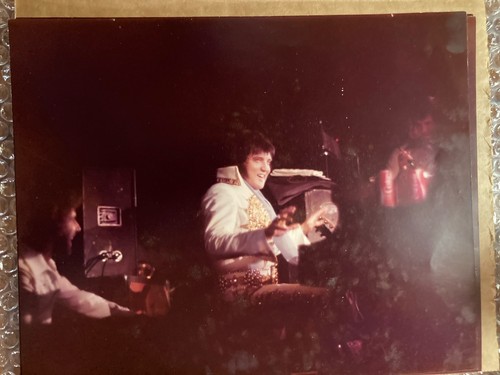 Elvis presley 8x10 - elvis,