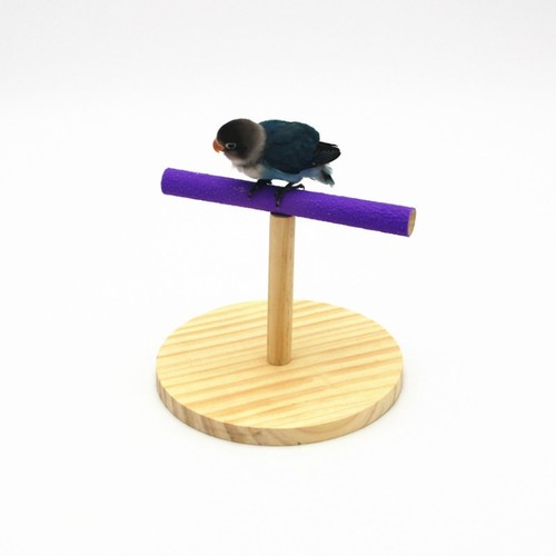 Creative wooden parrot - creative,