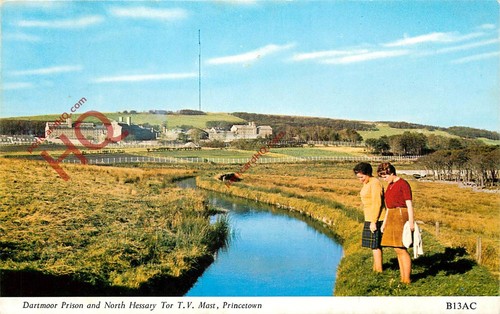 Picture postcard princetown - picture,