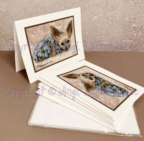 Micro teacup yorkie chorkie - micro,