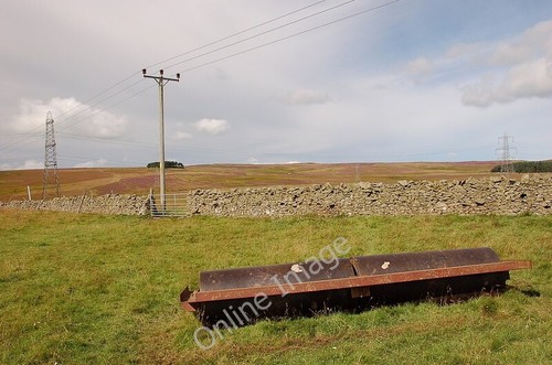 Photo 6x4 lauder common - photo,