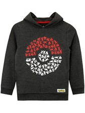 Pokemon Pokeball Hoodie Kids