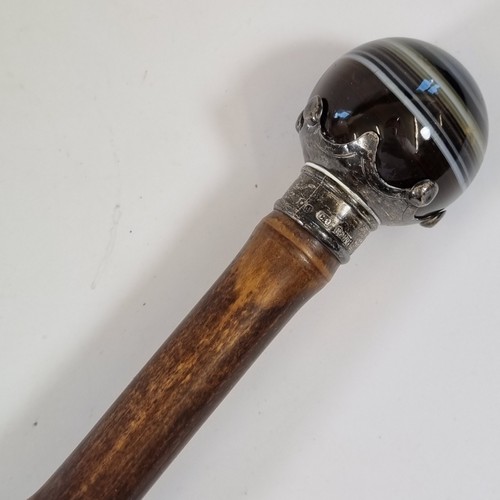 Antique bamboo wood - antique, walking
