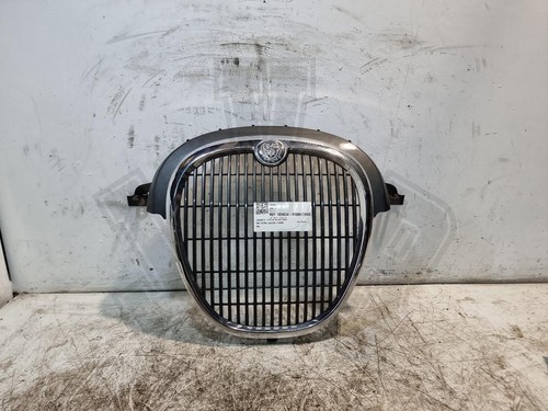 Jaguar type front - jaguar,