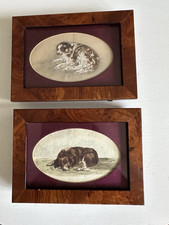 Antique Watercolour Paintings