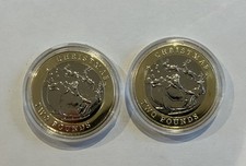 2020 Christmas Sleigh Santa