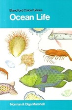 Ocean Life in Colour