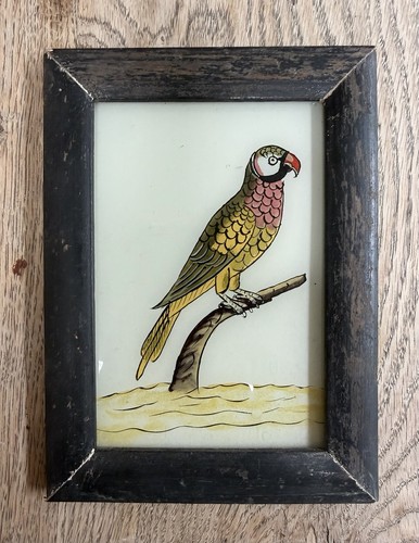 Big parrot indian vintage - big,