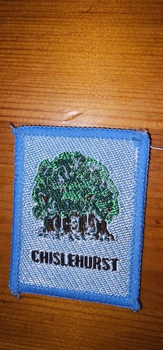 Vintage scout county district - vintage,