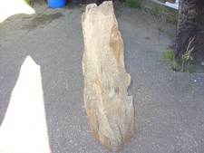 large driftwood