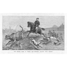 British Officers Hunting with