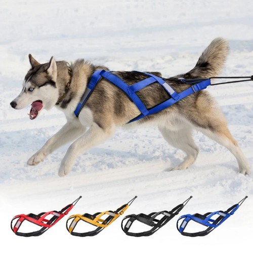 Reflective pet dog sled - reflective,