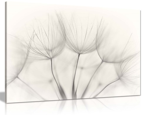 Soft dandelion flowers - soft, close