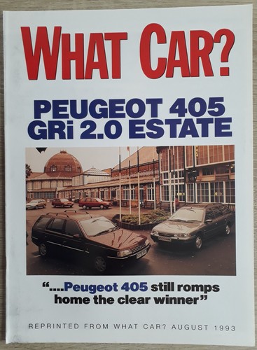 Peugeot 405 gri estate - gri, road
