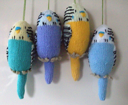 New handmade budgies