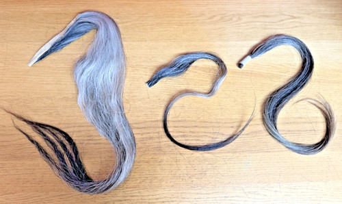 Rocking horse hair - horse, restore
