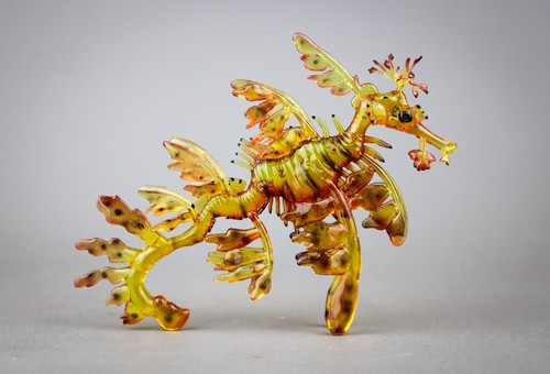 Clearware weedy sea dragon - weedy,