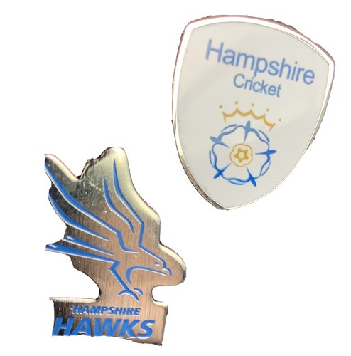 Hampshire cricket club - cricket, enamel