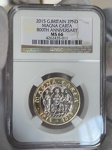Magna carta 2015 two pound - magna,