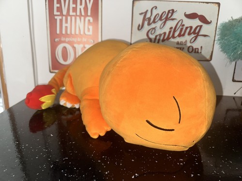 Giant sleeping charmander - sleeping,