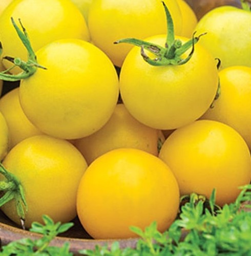 Honey delight tomato - honey,