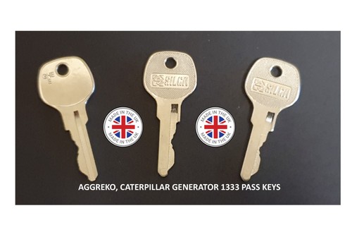 1333 pass keys - 1333,