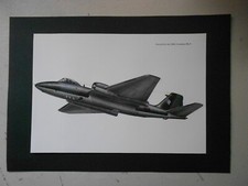 AIRFORCE PRINT- ENGLISH