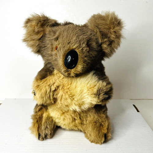 Vintage australian koala bear - vintage,