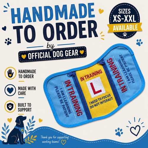 Training plate - training, l