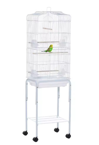 Extra large bird - for, budgie