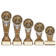 Martial Arts Karate Trophies