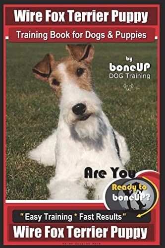 Wire fox terrier puppy - fox,