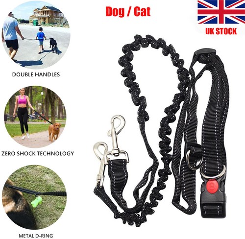 Hands free leash dog lead - dog,