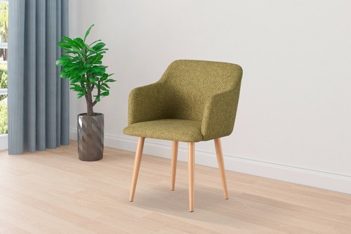 Armchair lounge chair - armchair,