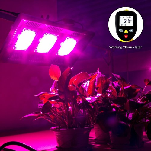 Led grow light - light, spectrum