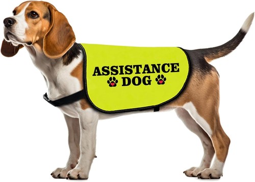 Funny assistance dog jacket - assistance,