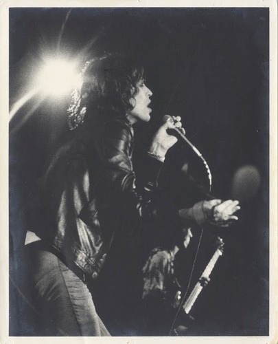 Mick jagger the - jagger, rolling