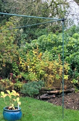 Vegetable fruit cage - fruit,
