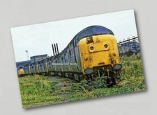 Fridge Magnet Class 55 Deltic