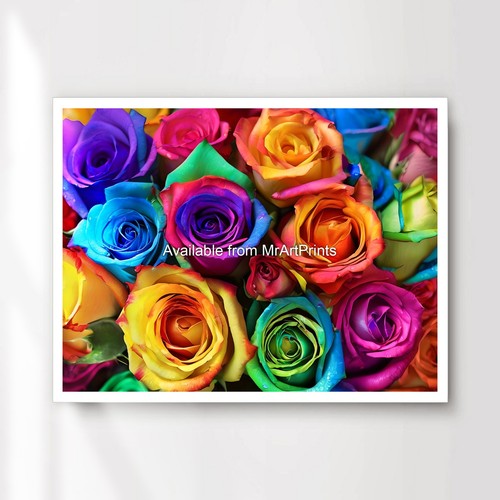 Rainbow roses colourful - colourful, art