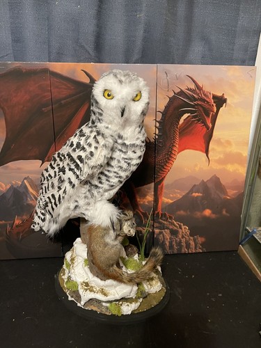 Reproduction owl replica - owl,