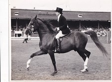 Original Press Photo White