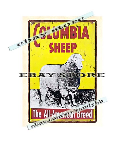 Columbia sheep the all - sheep,