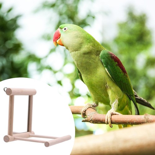 Wooden bird mirror - bird,