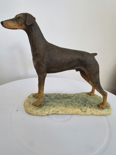 Border fine arts doberman - fine,