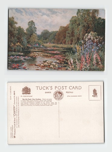Postcard the lily - postcard,